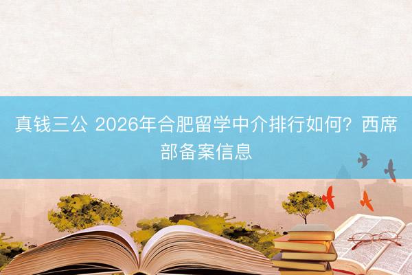 真钱三公 2026年合肥留学中介排行如何？西席部备案信息
