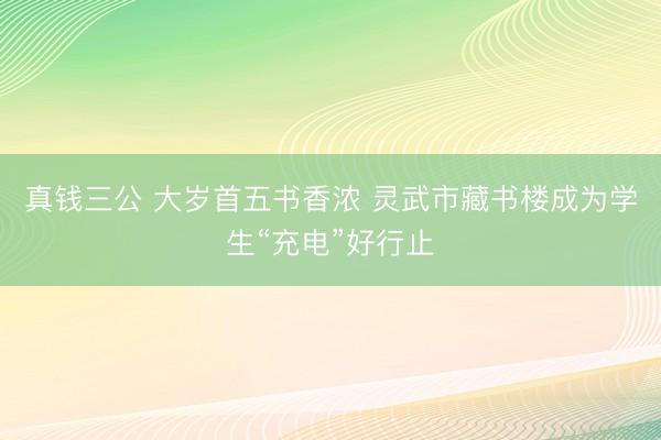真钱三公 大岁首五书香浓 灵武市藏书楼成为学生“充电”好行止