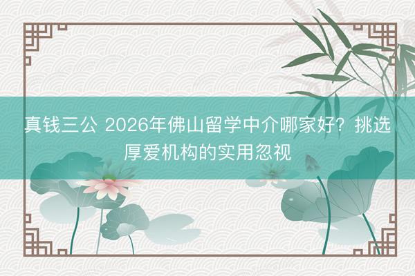 真钱三公 2026年佛山留学中介哪家好？挑选厚爱机构的实用忽视