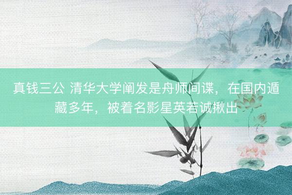 真钱三公 清华大学阐发是舟师间谍，在国内遁藏多年，被着名影星英若诚揪出