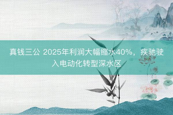 真钱三公 2025年利润大幅缩水40%，疾驰驶入电动化转型深水区