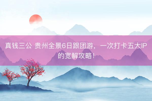 真钱三公 贵州全景6日跟团游，一次打卡五大IP的宽解攻略！