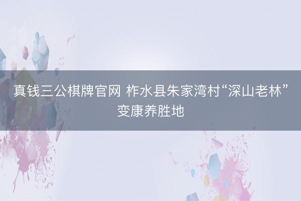 真钱三公棋牌官网 柞水县朱家湾村“深山老林”变康养胜地