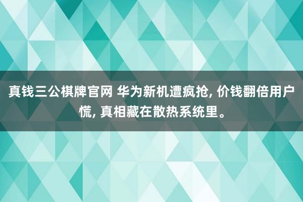 真钱三公棋牌官网 华为新机遭疯抢, 价钱翻倍用户慌, 真相藏在散热系统里。