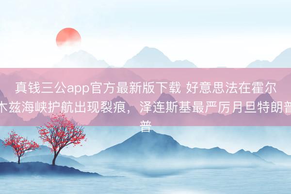 真钱三公app官方最新版下载 好意思法在霍尔木兹海峡护航出现裂痕，泽连斯基最严厉月旦特朗普