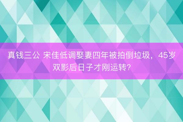 真钱三公 宋佳低调娶妻四年被拍倒垃圾，45岁双影后日子才刚运转?