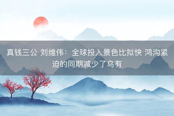 真钱三公 刘维伟：全球投入景色比拟快 鸿沟紧迫的同期减少了乌有