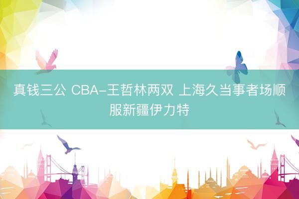 真钱三公 CBA-王哲林两双 上海久当事者场顺服新疆伊力特