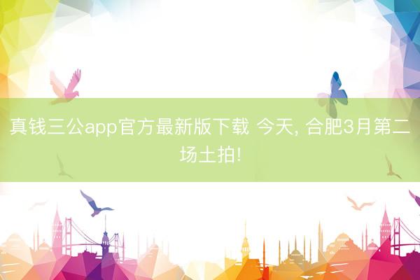 真钱三公app官方最新版下载 今天, 合肥3月第二场土拍!