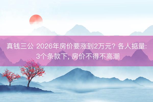 真钱三公 2026年房价要涨到2万元? 各人掂量: 3个条款下, 房价不得不高潮