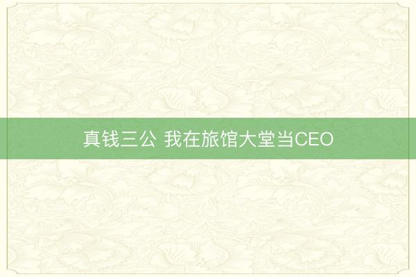 真钱三公 我在旅馆大堂当CEO