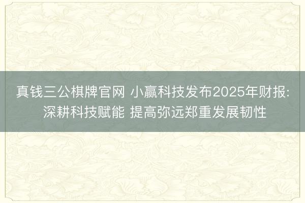 真钱三公棋牌官网 小赢科技发布2025年财报: 深耕科技赋能 提高弥远郑重发展韧性