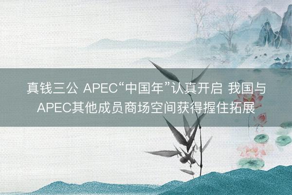 真钱三公 APEC“中国年”认真开启 我国与APEC其他成员商场空间获得握住拓展