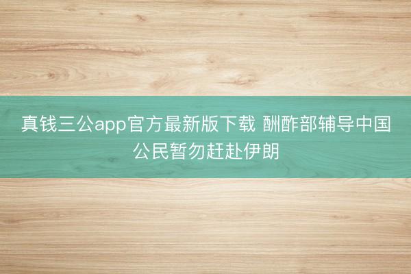 真钱三公app官方最新版下载 酬酢部辅导中国公民暂勿赶赴伊朗