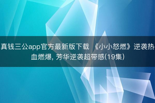 真钱三公app官方最新版下载 《小小怒燃》逆袭热血燃爆， 芳华逆袭超带感(19集)
