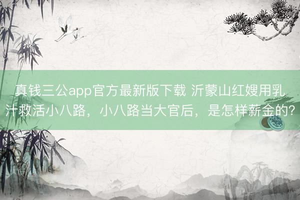 真钱三公app官方最新版下载 沂蒙山红嫂用乳汁救活小八路，小八路当大官后，是怎样薪金的？