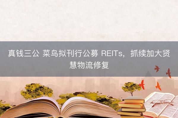 真钱三公 菜鸟拟刊行公募 REITs，抓续加大贤慧物流修复