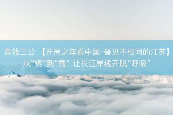 真钱三公 【开局之年看中国·碰见不相同的江苏】从“锈”到“秀” 让长江岸线开脱“呼吸”